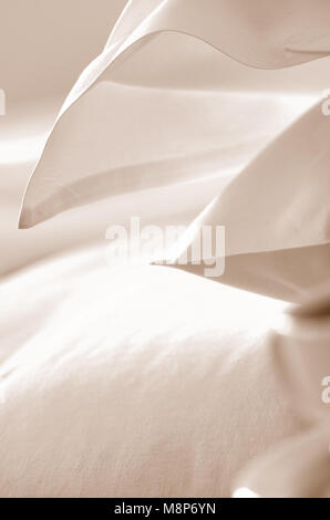 Detail of crisp white Pillow Cases on a bed Stock Photo