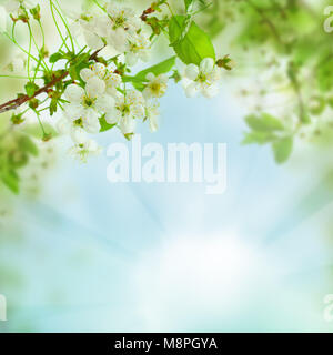 Spring floral background - abstract nature concept with blue sky, leaves and flowers Stock Photo