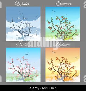 Set of Cherry tree in the different seasons. Vector illustration. Stock Vector