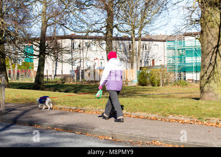Dundee, Tayside, Scotland, UK. 19th March, 2018. UK weather: Dog walkers out walking with their pet animals around the Ardler Village enjoying the mild sunny spring day in Dundee city centre, UK. Credit: Dundee Photographics / Alamy Live News Stock Photo