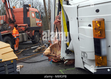 20 March, Germany, Boppard: Recovery workers attempt to right a juggernaut carrying beef which overturned on the Autobahn 61 (A61) motorway near Boppard. The motorway had to be completely closed for several hours. Photo: Thomas Frey/dpa Stock Photo