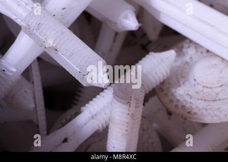 Screw dowel plastic build work industry object hardware maintain drill fixing white industrial tool macro close up industry repait fixation fix build Stock Photo