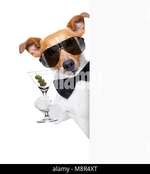 drunk jack russell dog toasting  and drinking a cocktail  martini drink with olives, isolated on white background , behind white blank banner or placa Stock Photo