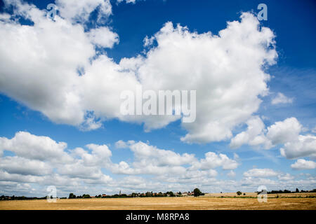 Blauer Sommerhimmel mit weißen Schönwetterwolken über einem abgeernteten Kornfeld in der französichen Chanpagne Nahe dem kleine Ort Grandpre. Die Regi