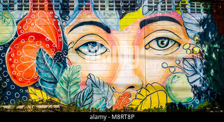 Colorful graffiti of a female face at a wall Stock Photo