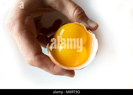 Double-yolk egg, Double yolk egg, in hand. Stock Photo