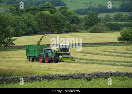 Working in farm field, 1 one green Fendt tractor drives alongside Claas forage harvester collecting cut grass for silage - West Yorkshire, England, UK Stock Photo