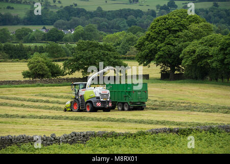 Working in farm field, 1 one green Fendt tractor drives alongside Claas forage harvester collecting cut grass for silage - West Yorkshire, England, UK Stock Photo