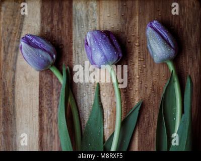 High angle view of wet purple tulips on wooden table Stock Photo