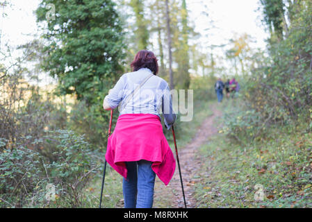Rear view of woman walking on trail in forest Stock Photo
