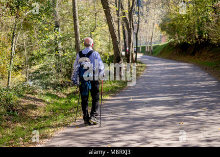 Rear view of senior man walking on road in forest Stock Photo