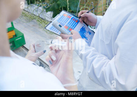 Scientists Working in Plantation Stock Photo