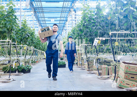 Two Workers in Greenhouse Stock Photo