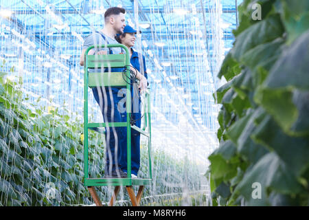 Workers Checking Plants in Greenhouse Stock Photo