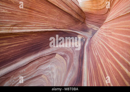 The Wave sandstone rock formation, located in Coyote Buttes North, Paria Canyon, Vermillion Cliffs Wilderness. Stock Photo