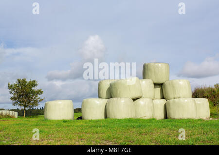 Group of plasticized hay bales in pasture Stock Photo