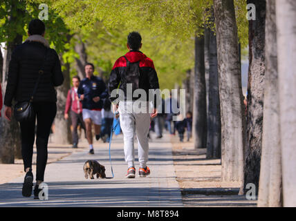 Dog Walking and Joggers in Parque Del Buen Retiro, ( Retiro Park ) Madrid Spain Stock Photo