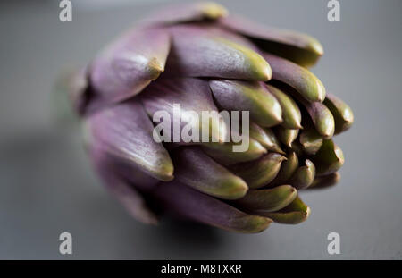 Tema artichoke on a grey background Stock Photo