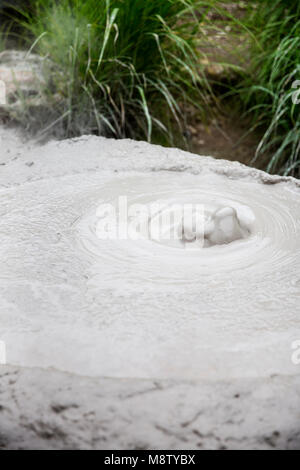 Bozu Jigoku in Beppu, Japan, one of the eight hells (Jigoku), the name of the Bozu comes from the fact that the gray mud that bubbles up from the spri Stock Photo