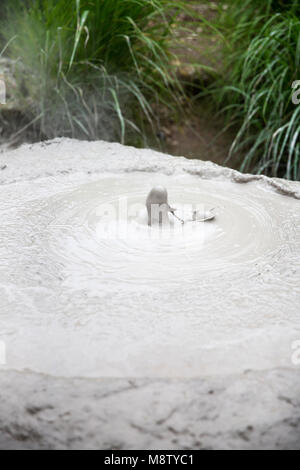 Bozu Jigoku in Beppu, Japan, one of the eight hells (Jigoku), the name of the Bozu comes from the fact that the gray mud that bubbles up from the spri Stock Photo