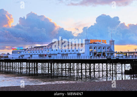 Brighton’s Palace Pier illuminated at early twilight, against a beautiful sunset with a murmuration of starlings swirling gracefully through the sky Stock Photo