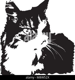 Vector image of fierce looking norwegian forest cat. Black and white. Stock Vector