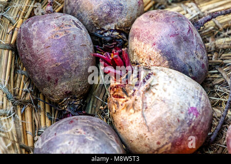 Beetroot in wicker basket Stock Photo