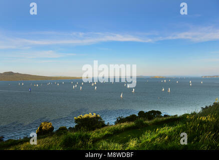 Sailing in Auckland's Hauraki gulf. Stock Photo