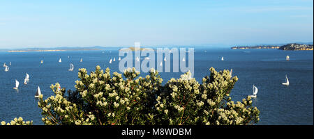 Sailing in Auckland's Hauraki gulf. Stock Photo