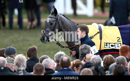 Gumball is walked around the parade area prior to the start of the action on the Gold Cup Friday of the 2018 Cheltenham Festival at Cheltenham Racecourse.