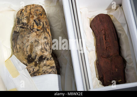 20 March 2018, Germany, Munich: Two Olmec artefacts in a protective boxes on a table during a press conference by the Bavarian State Archaeological Collection. Two Olmec artefacts around 3,000 years old have been handed over to the Mexican government. The artefacts had been taken out of Mexico illegally. Photo: Lino Mirgeler/dpa Stock Photo