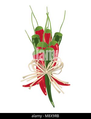 a vector illustration in eps 10 format of a rustic bundle of red and green chilli peppers with string bow on a white background Stock Vector