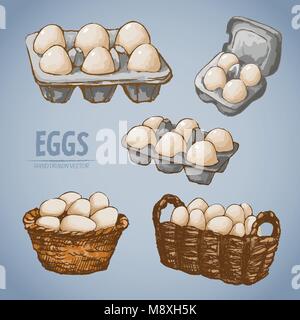 Vector detailed line art packed eggs hand drawn retro illustration ...