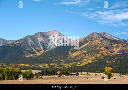 Mount Princeton, near Buena Vista, Colorado, is covered in the splendor of Fall colors, with gold and orange aspen leaves mixed in a pine forest along Stock Photo