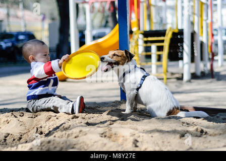 Toddler boy sitting in sandbox at playground playing with dog's toy Stock Photo