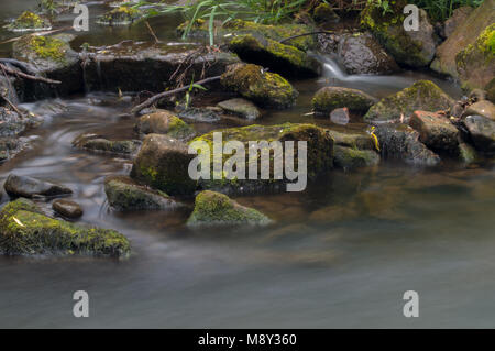 Flowing water turned milky white by a long exposure as it flows around green and brown moss covered rocks. Stock Photo