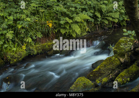 Flowing water turned milky white by a long exposure as it flows around green and brown moss covered rocks. Stock Photo