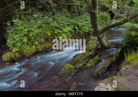 Flowing water turned milky white by a long exposure as it flows around green and brown moss covered rocks. Stock Photo