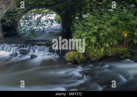 Flowing water turned milky white by a long exposure as it flows around green and brown moss covered rocks. Stock Photo