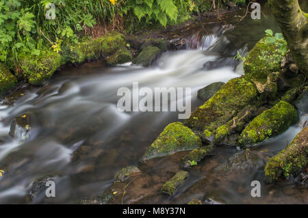 Flowing water turned milky white by a long exposure as it flows around green and brown moss covered rocks. Stock Photo