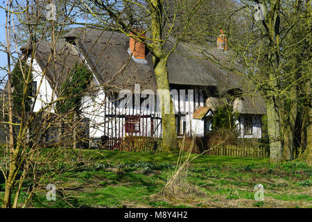 Cottage in the trees, Green End, near Sandon, Hertfordshire Stock Photo