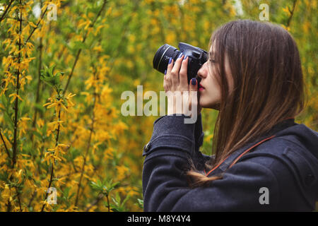 Girl taking photo of  yellow blossoming tree Stock Photo