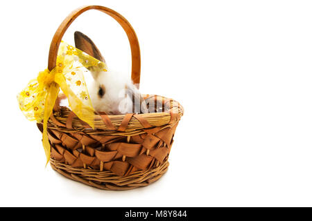 Easter bunny in wicker basket isolated on white background. Stock Photo