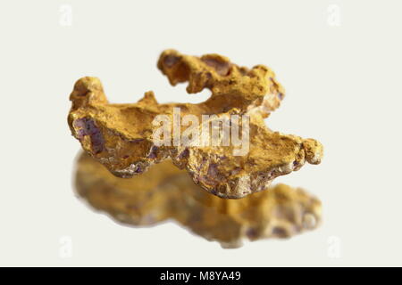 Big nugget of gold from Lapland Stock Photo