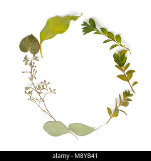 Round circle frame made of green branches and leaves on white background. Flat lay. Stock Photo