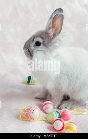 Fluffy foxy rabbit with Easter eggs on light pink background. Stock Photo