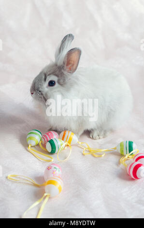 Fluffy foxy rabbit with Easter eggs on light pink background. Stock Photo