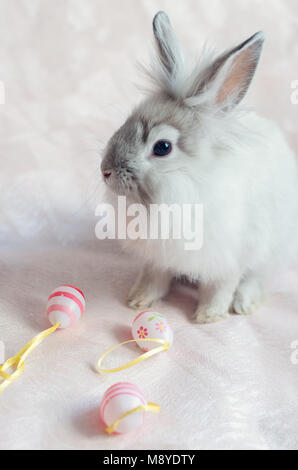 Fluffy foxy rabbit with Easter eggs on light pink background. Stock Photo