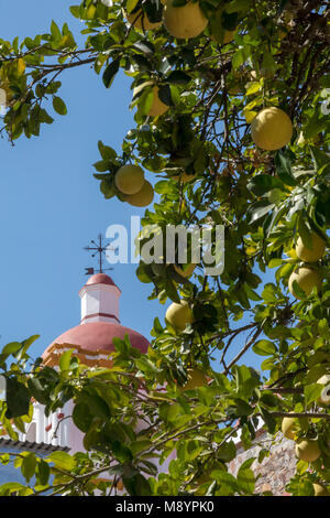 San Juan Teitipac, Oaxaca, Mexico - The 16th century Dominican church in a small Zapotec town, and a grapefruit tree in the courtyard. Stock Photo