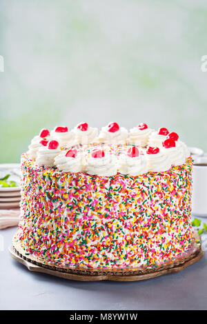 Birthday cake covered in sprinkles Stock Photo